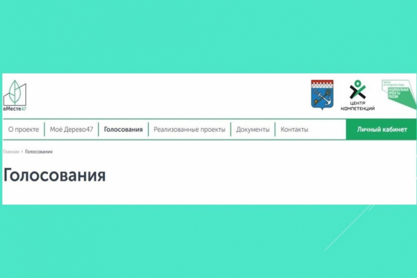 Выборжцы выбирают территорию для благоустройства