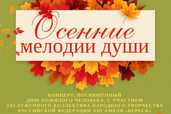 День пожилого человека в Выборгском районе