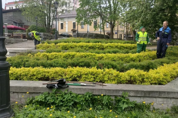 Выборг: наведение чистоты