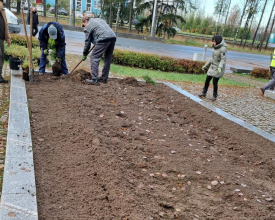 В Выборге посадили спирею и лапчатку