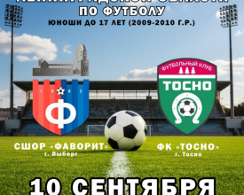 В Выборгском районе встретятся футбольные команды 47 региона