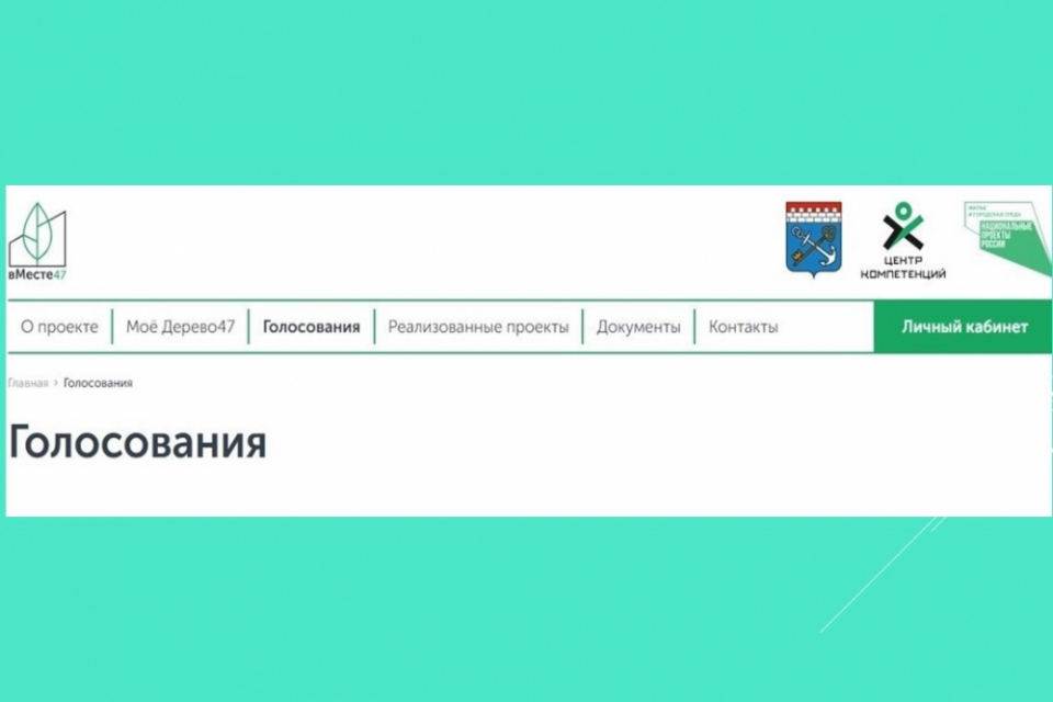 Выборжцы выбирают территорию для благоустройства