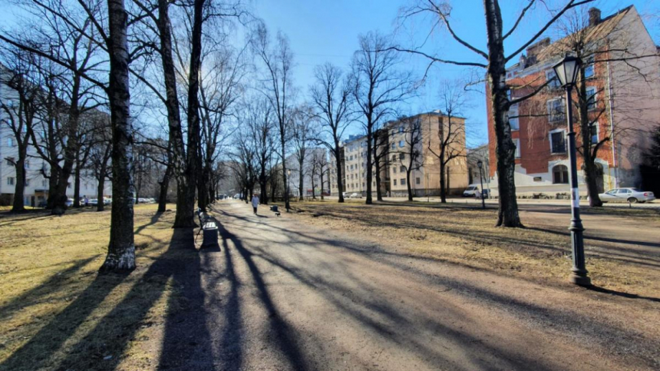Во второй части Садового сквера в Выборге начинается благоустройство территории